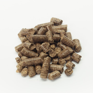 Amravati in Maharashtra in Delhi