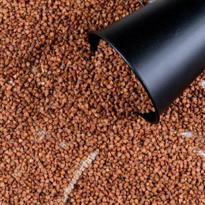 Bhopal in Madhya Pradesh in Delhi