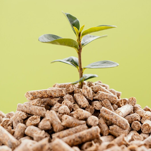 Kota in Rajasthan in Delhi