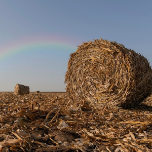 Moga in Punjab in Delhi