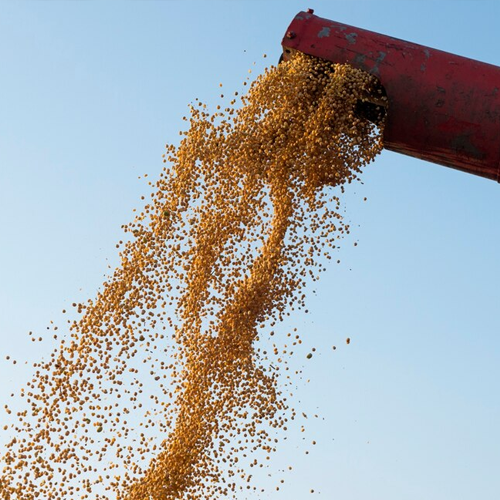 Nagpur in Maharashtra in Delhi