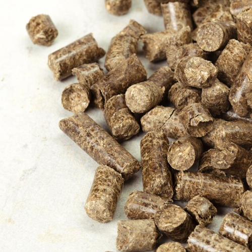 Raipur in Chhattisgarh in Delhi