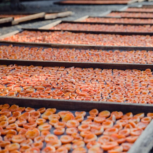 Tezpur in Assam in Delhi