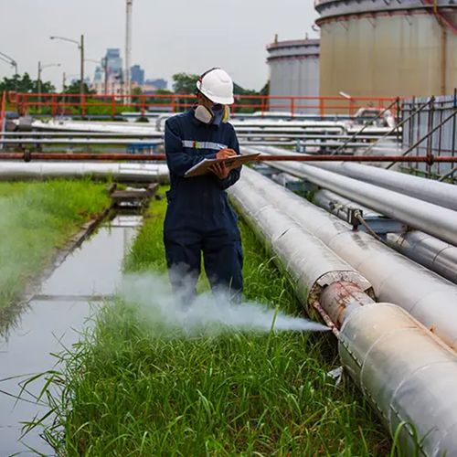 Renovo Bio solutions Private Limited